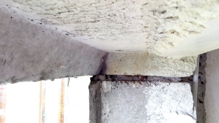 IMG_20210815_124044 --- 3