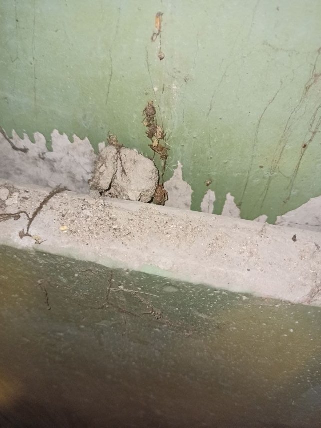 photo_2021-09-08_00-47-05