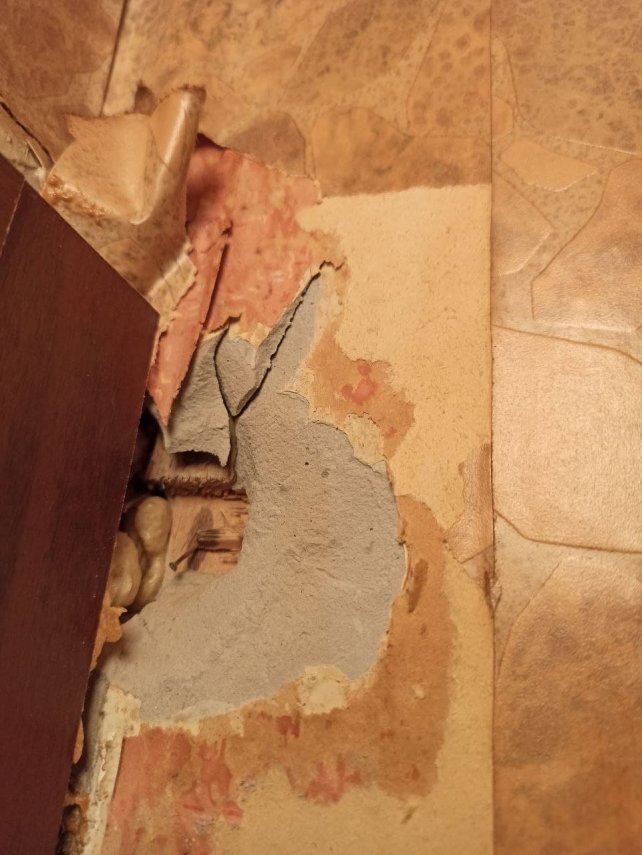 photo_2021-09-08_00-47-10