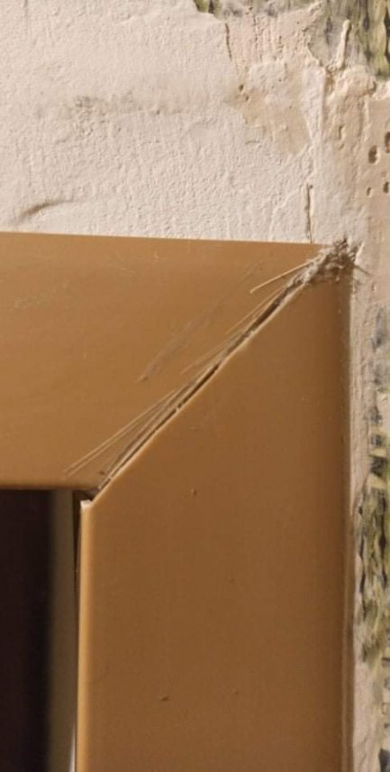 received_498334187929283