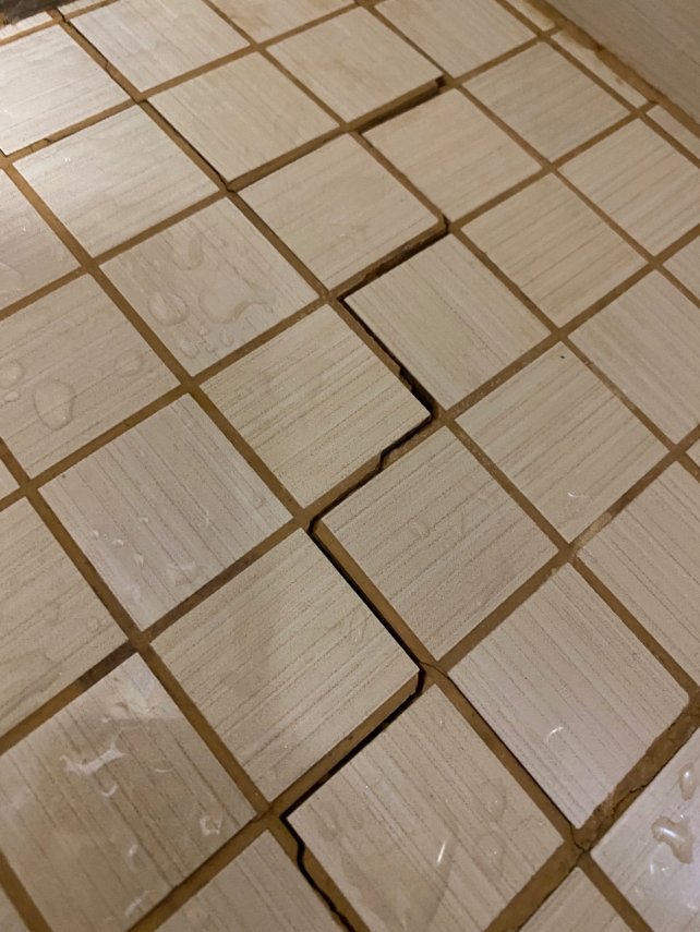 67CA4848-5433-4913-B5CD-DCF56F035E95