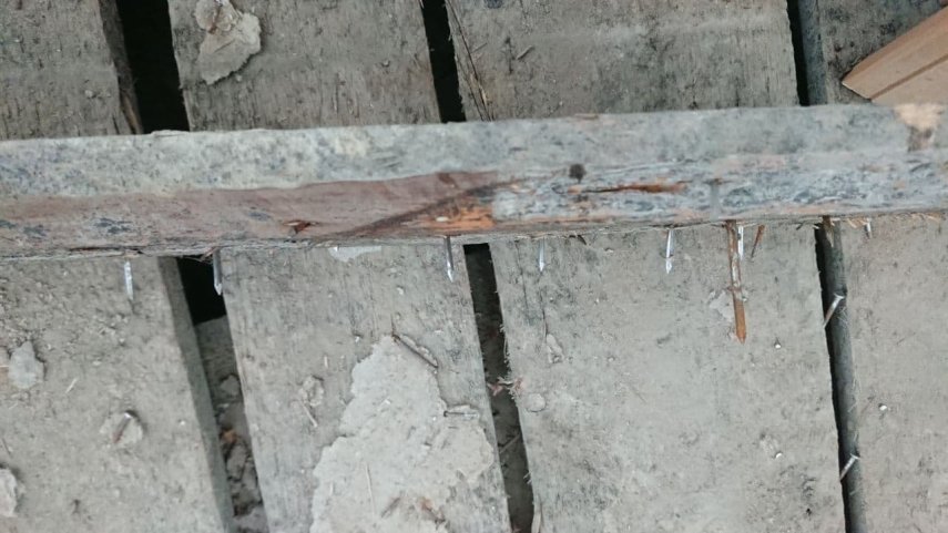 photo_2022-01-28_12-23-17