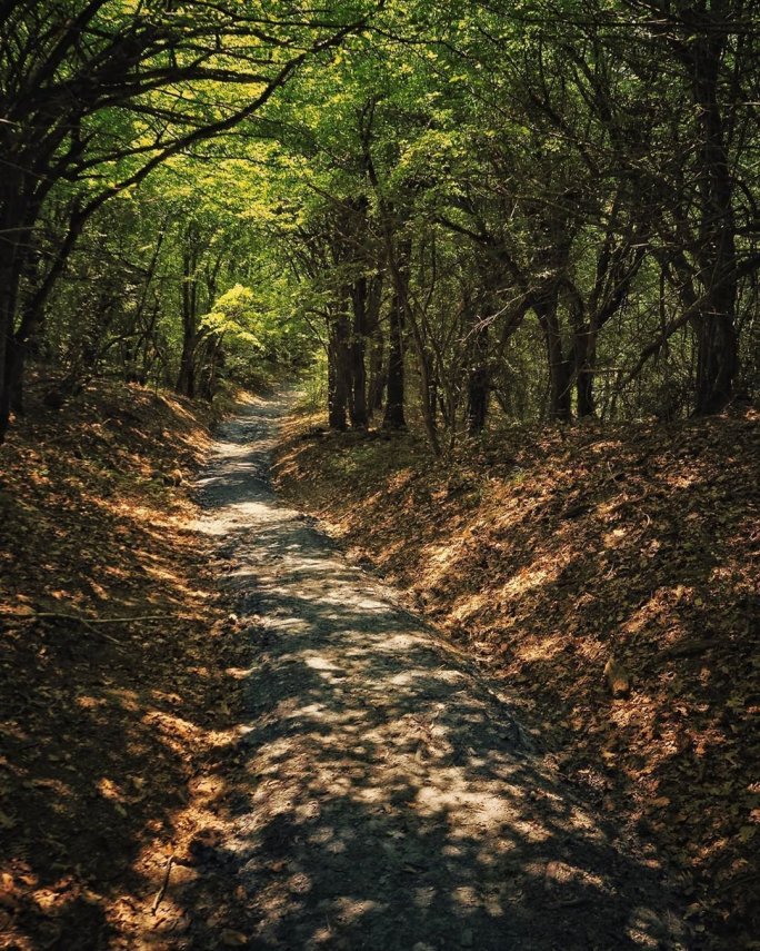 tumblr_8c85453ebce3135070ec7829d8d5b965_6cde1409_1280