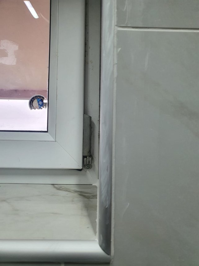 65fe62ae-70a4-4831-83be-d8192ffd7906