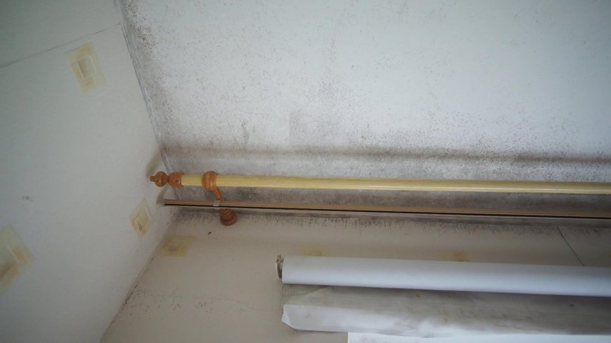 vlcsnap-2022-06-13-18h27m23s178