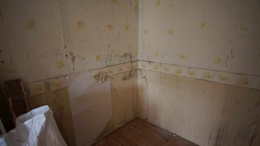 vlcsnap-2022-06-13-18h27m51s854