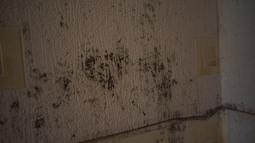 vlcsnap-2022-06-13-18h28m07s152