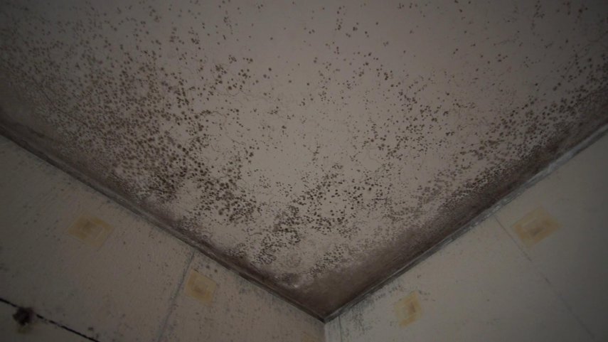 vlcsnap-2022-06-13-18h28m21s746