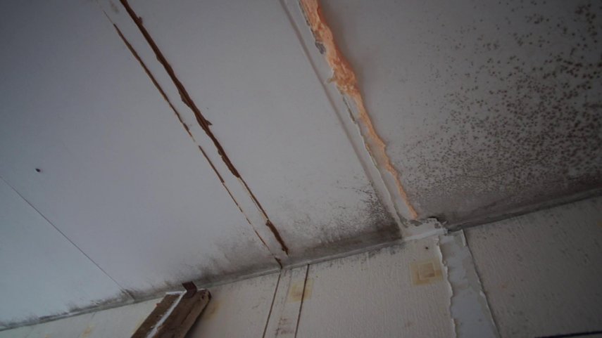 vlcsnap-2022-06-13-18h28m28s528