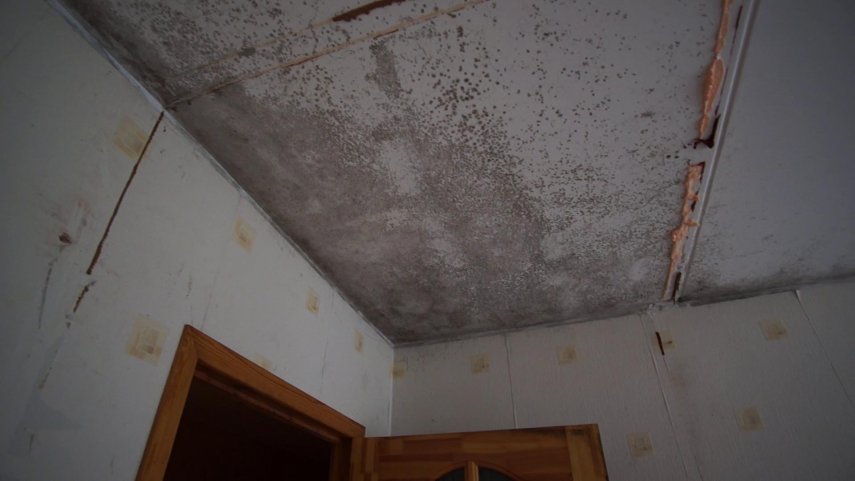 vlcsnap-2022-06-13-18h28m36s723