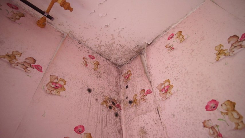 vlcsnap-2022-06-13-18h32m20s573