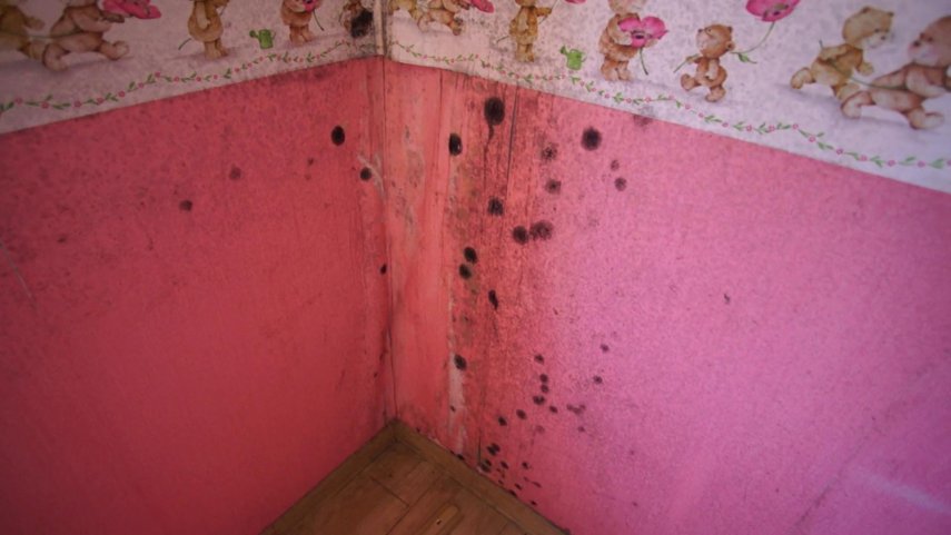 vlcsnap-2022-06-13-18h32m28s814