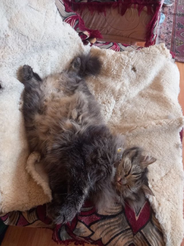 photo_2023-03-01_10-03-31