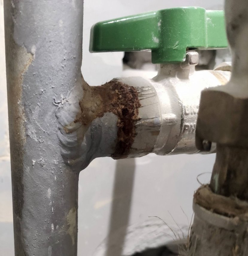 Screenshot_2024-06-20-23-41-10-402_com.google.android.apps.photos-edit