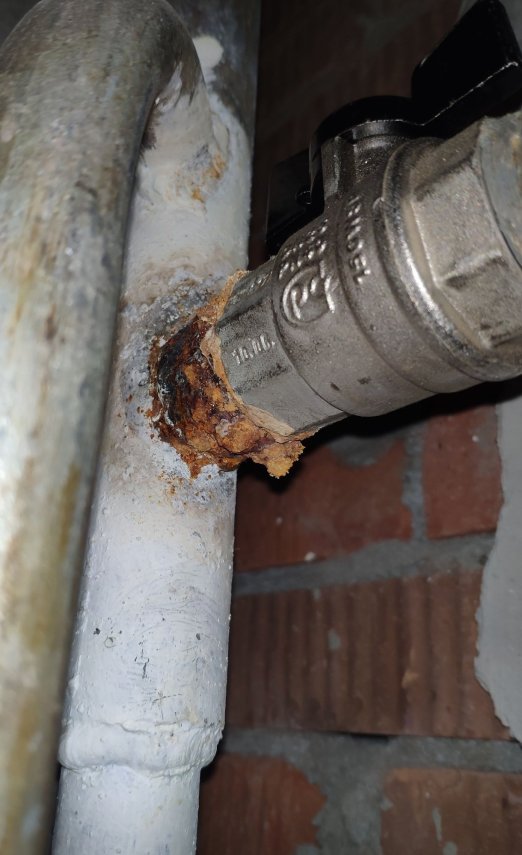 Screenshot_2024-06-20-23-41-43-337_com.google.android.apps.photos-edit