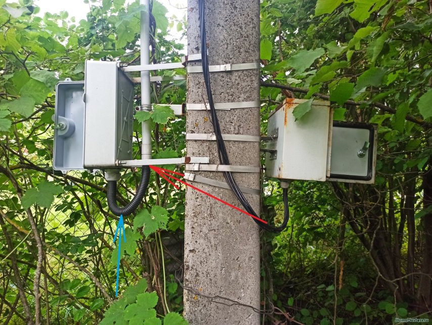 IMG_20240728_134429.jpg.58d98cabb168fa07032f7bdbbd5e14dd