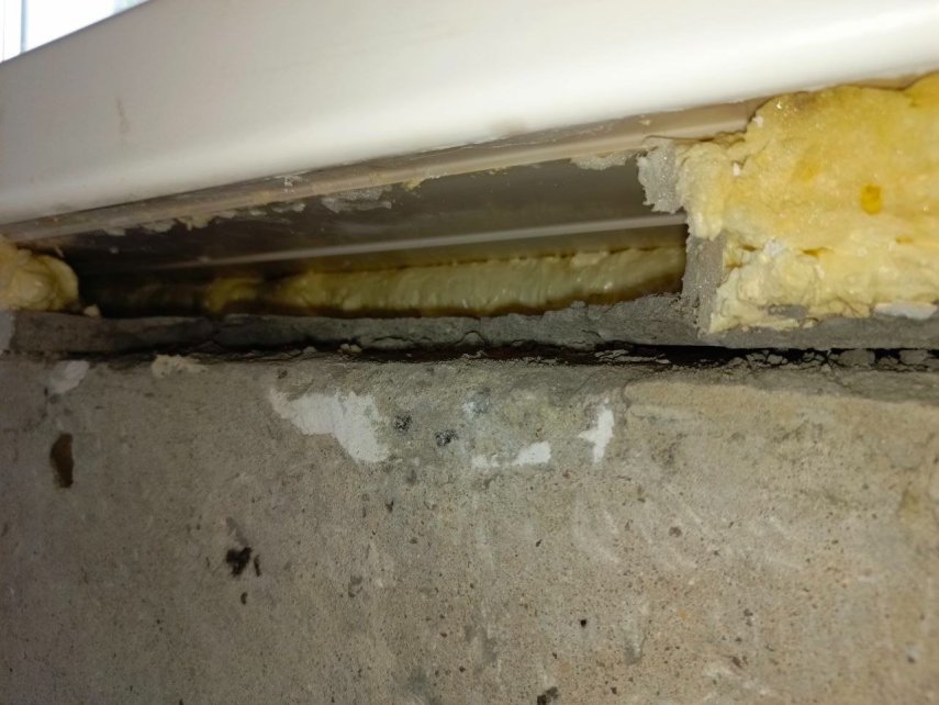 photo_5323747083519385038_y