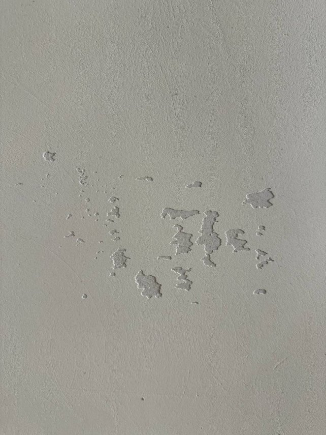 photo_2024-10-15_00-41-41