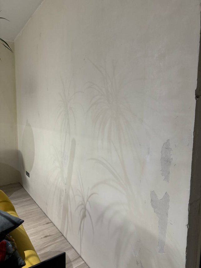 photo_2024-10-15_00-41-44