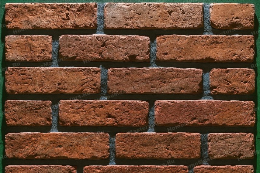 foto6.jpg