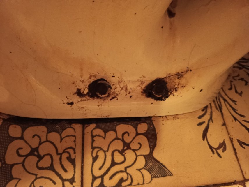 IMG_20250801_221343_101