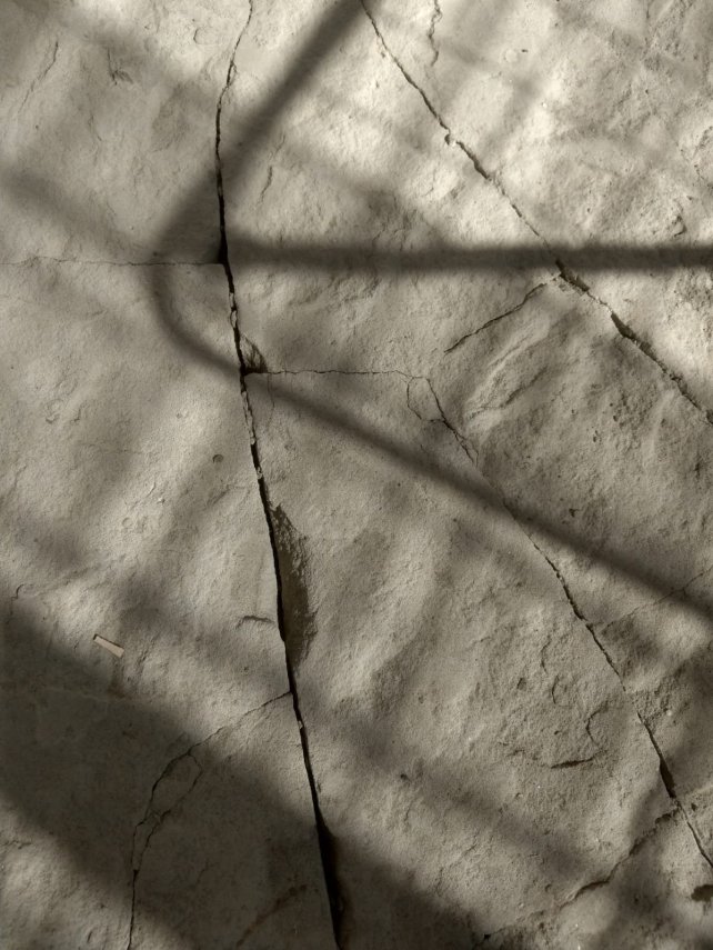 d741cb0f-8476-4383-b04d-877cb1ca6bd1