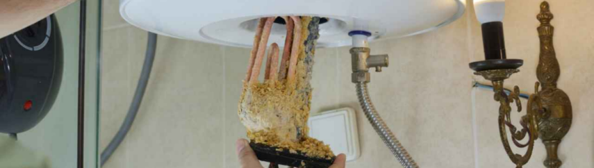 master_slivaet_vodu_i_chistit_boiler_v_prisutstvii_klienta.thumb.png.dbcdc9b361f98faded7b9ec376461536.png