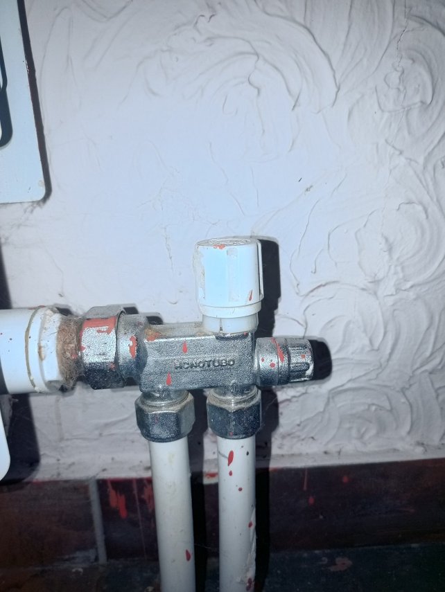 IMG_20251119_165728_662