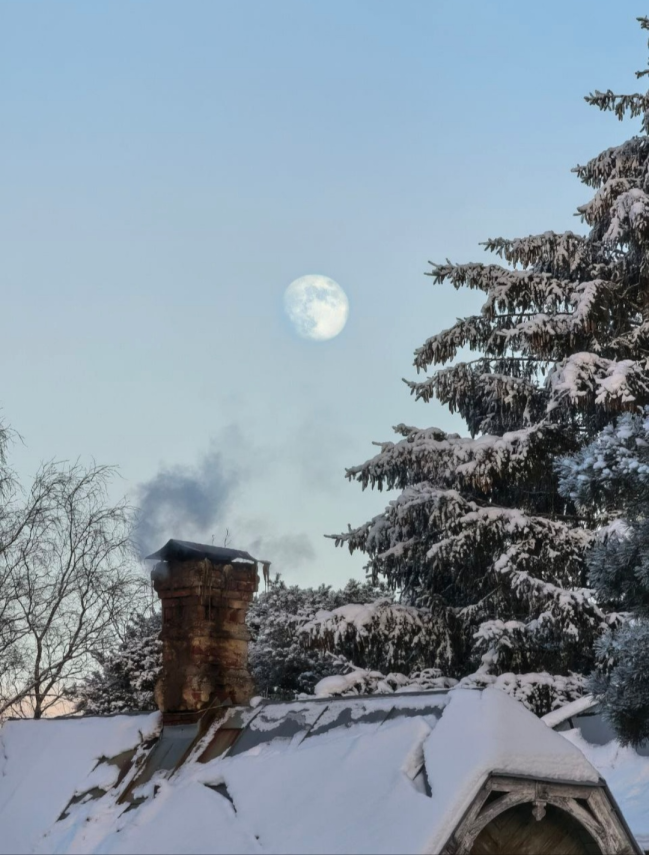 Screenshot_2026-02-01-16-44-25-333_org.telegram.messenger