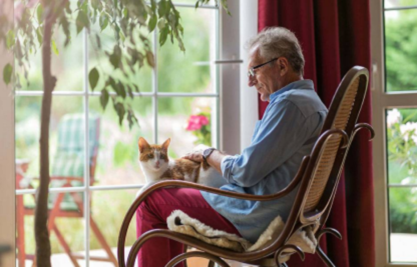 человек в кресле-качале у окна