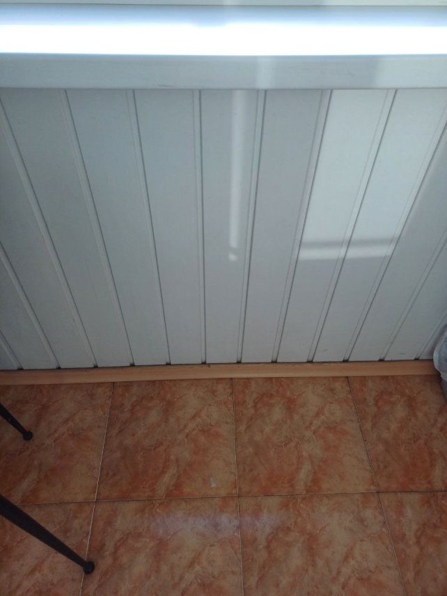 photo_2026-04-13_17-30-25