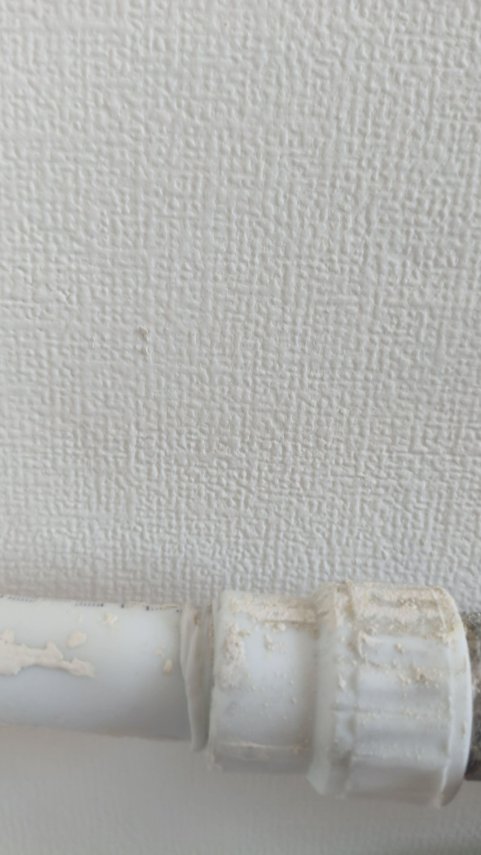 1000004399.thumb.jpg.6190cdb8c028412dc1910e554b19150d.jpg