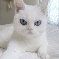 Лазарева Мария