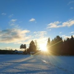 Елена Малинина-Ивановская
