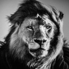 Максим Иванов